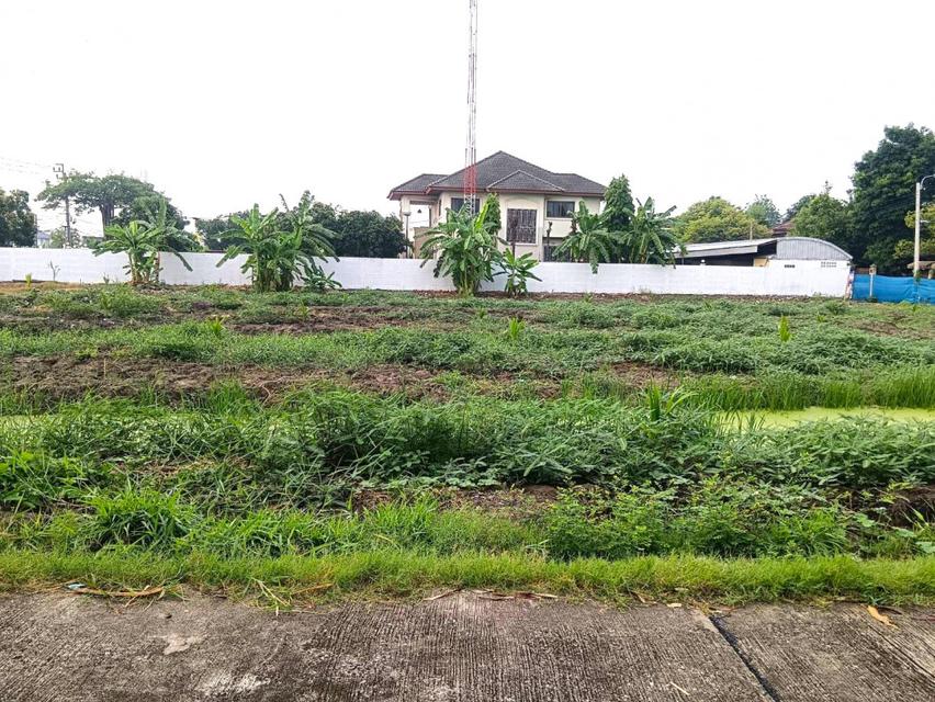 ขายที่ดินเปล่า แปลงมุม 4 แปลงติดกัน (ขายรวม) ซอยเพชรเกษม 69 แยก 6-2 กรุงเทพฯ 4