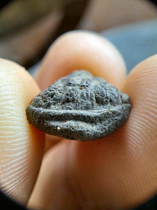 พระปิดตาหลวงพ่อพริ้ง วัดบางประกอก(หายากมาก) ประกันพระแท้ พระกันพระ 5