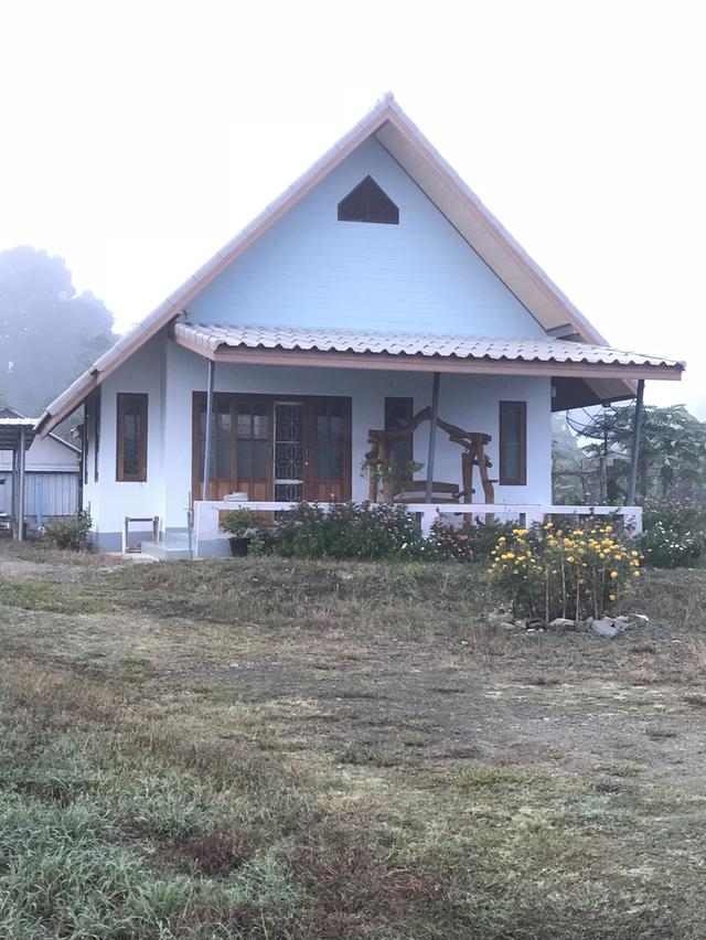 สวนลำไย720ต้น++แถมบ้าน3หลังโรงเรือน2หลัง🏡💯 2
