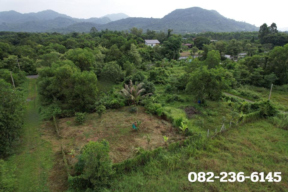 ขายที่ดิน 100 ตร.ว. ถมเต็มพื้นที่ โฉนดครุฑแดง ถนนสาธารณประโยชน์ ต.พรหมณี อ.เมืองนครนายก 4