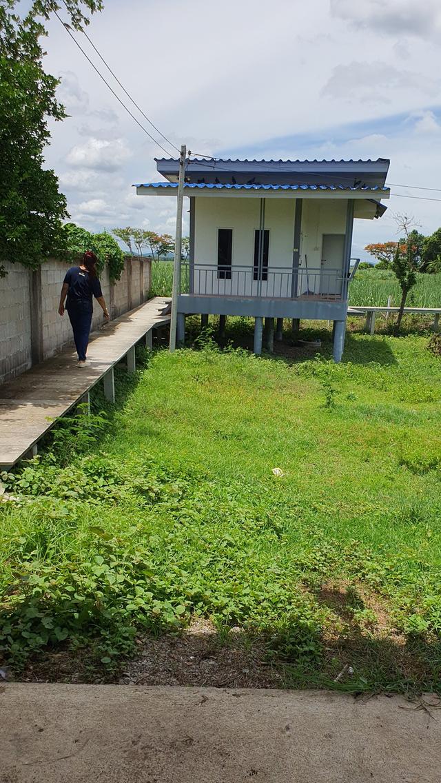 บ้านพร้อมที่ดิน ต.ปากช่อง อ.จอมบึง ราชบุรี 11