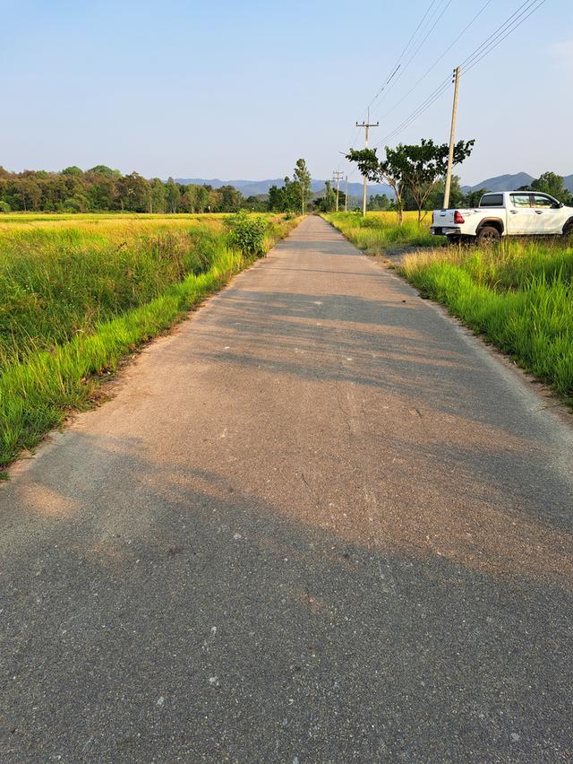 ขายที่ดิน วิวเขา ติดถนน 1งาน 79วา ต.บ้านธิ อ.บ้านธิ จ.ลำพูน 5