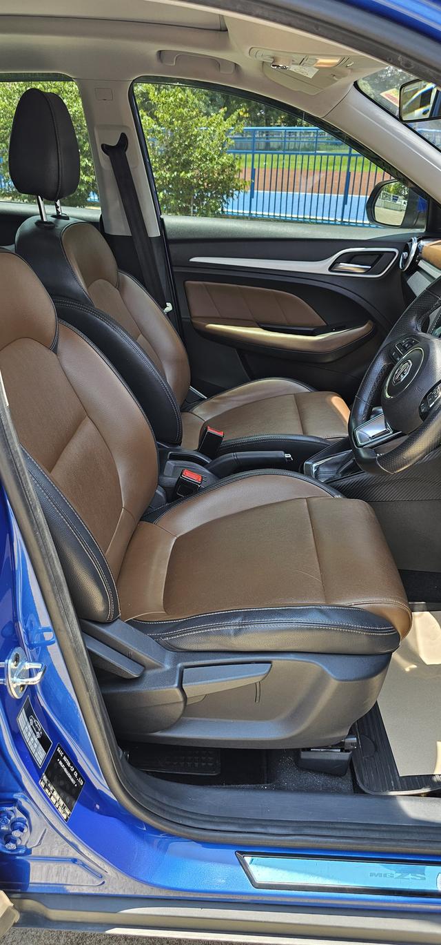 Mg zs X 10