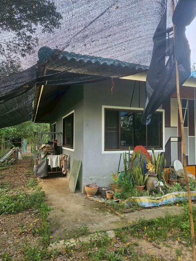 ขายบ้านพร้อมที่ดิน 6