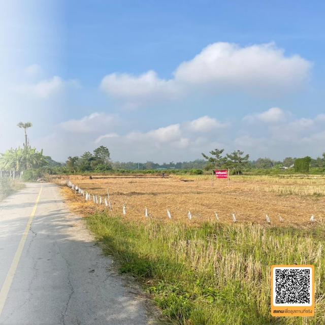 ประกาศขายที่นา - ตำบลแม่โป่ง อำเภอดอยสะเก็ด เจ้าของขายเอง 3