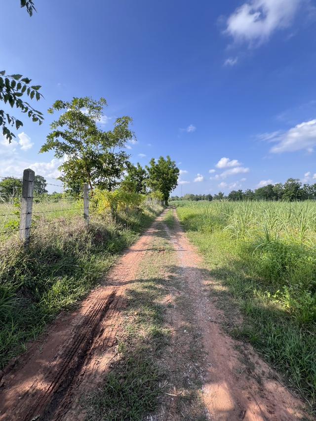ที่ดินเปล่า ที่ดินจัดสรร 2
