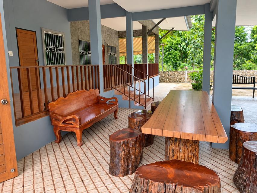 ขายที่ดินพร้อมบ้านสวน ทำเลธรรมชาติ มีบ่อปลาและระบบน้ำพร้อมใช้ 15
