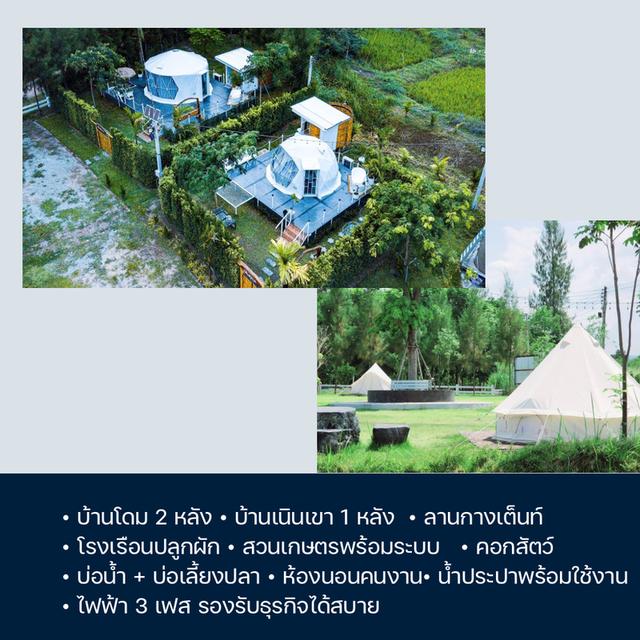 ที่ดินจังหวัดราชบุรี 10