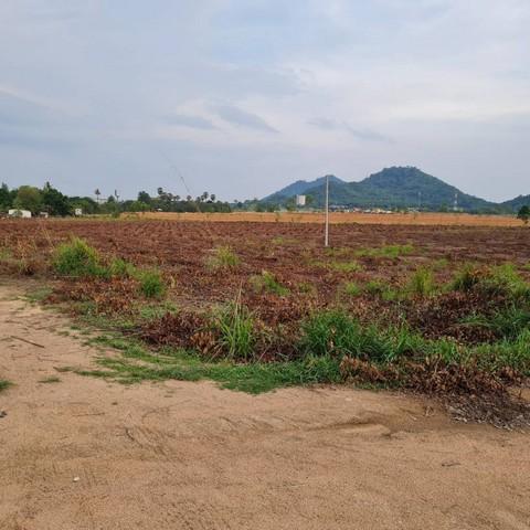 ขายที่ดินผังม่วงบ้านบึงชลบุรี ที่ดินอุตสาหกรรม 31-1-46 ไร่ ติดนิคม WHA | ทางสาธารณะ 3 ด้าน พื้นที่สีม่วงลาย 7