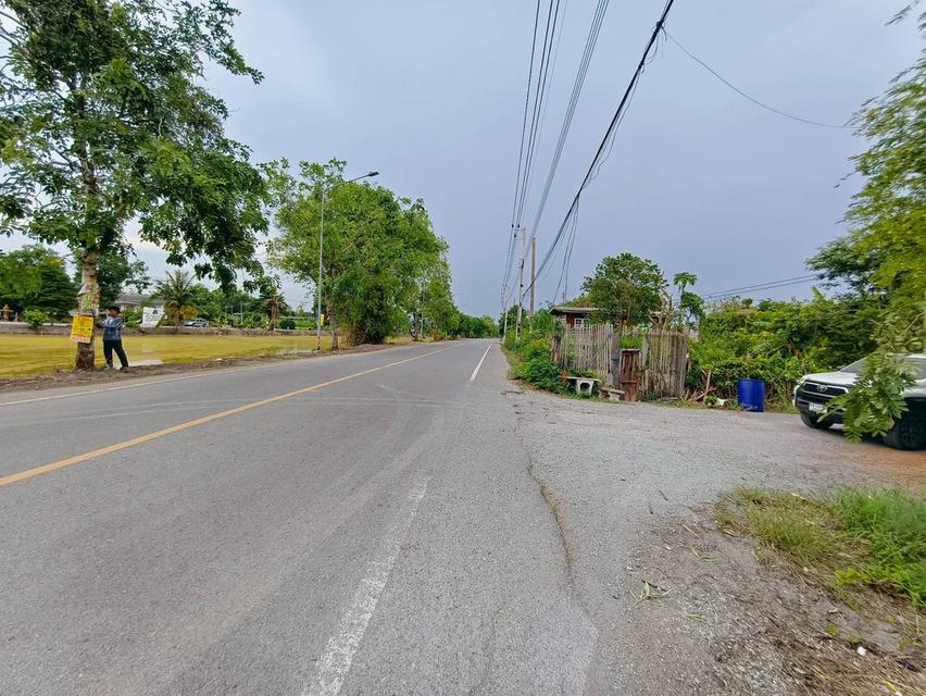ขายถูกที่ดิน 200 ตรว ติดถนนสาธารณะ คลอง 12 หนองเสือ ปทุมธานี 1