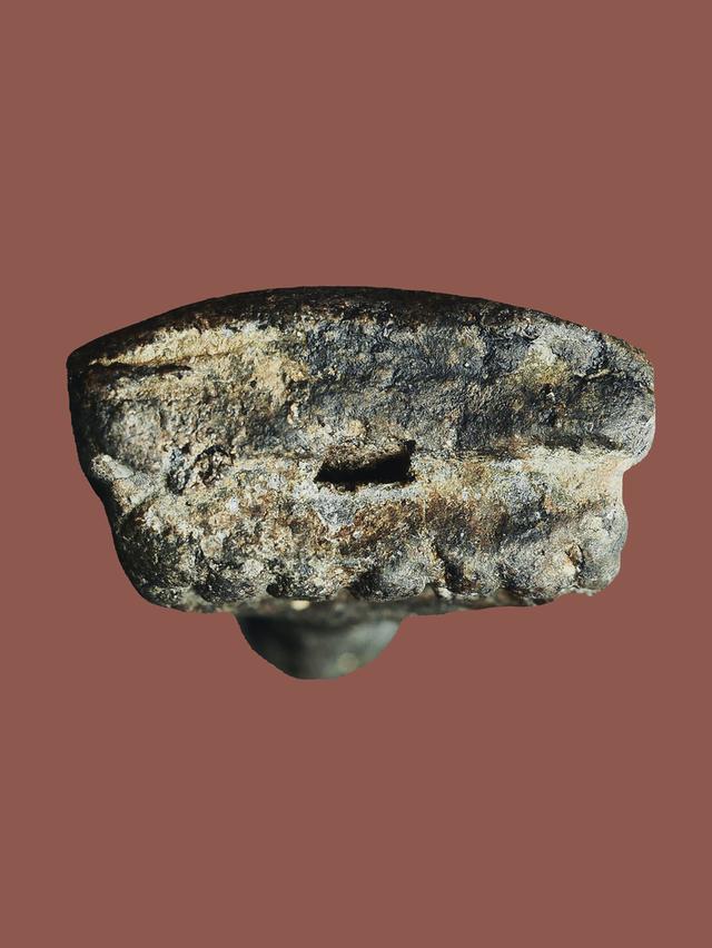 หลวงปู่ทวดเนื้อว่าน รุ่นแรก พิมพ์กรรมการ วัดช้างให้ ปี 2497.....เก่าๆ 5