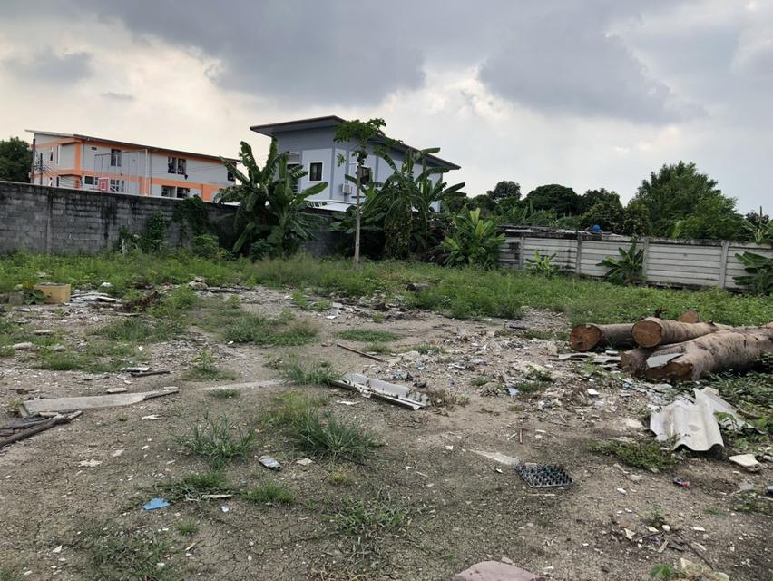 ✅ ให้เช่าที่ดิน ขนาด 1 ไร่ 68 ตรว. ซอย อ่อนนุช 34  เข้าจากปากทางถนน สุขุมวิท 77 ไป 350 เมตร 3