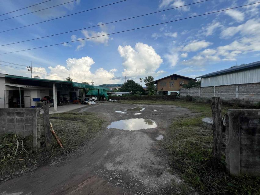 อสังหาริมทรัพย์ ที่ดิน ตึกพานิชย์ 12