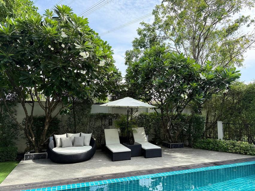 Pool Villa for rent or sale in Bangna 1