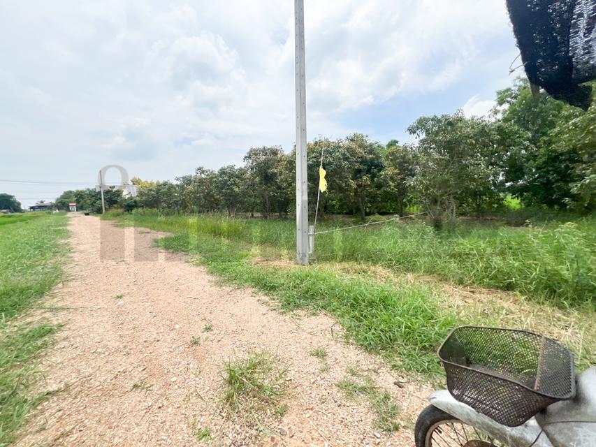 ขาย ที่ดินจัดสรร ลำลูกกา คลอง16 องครักษ์ 10
