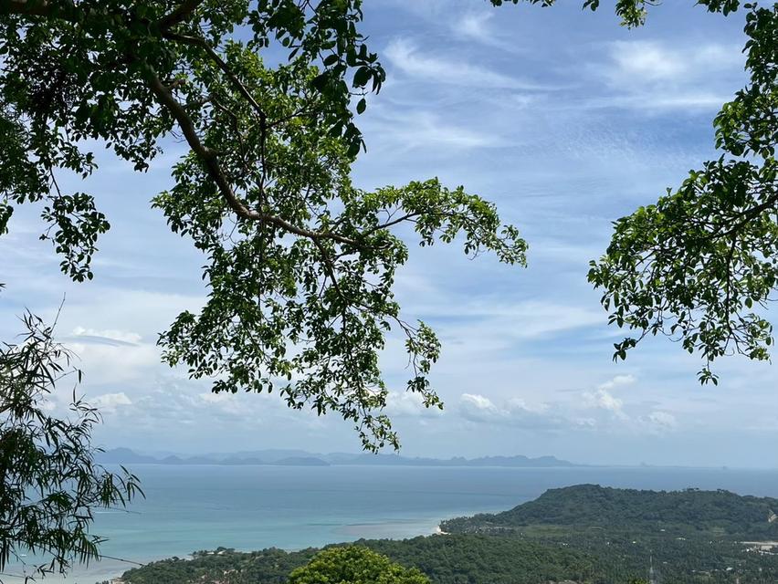ขายที่ดินวิวทะเล ทำเลทอง เกาะสมุย 7