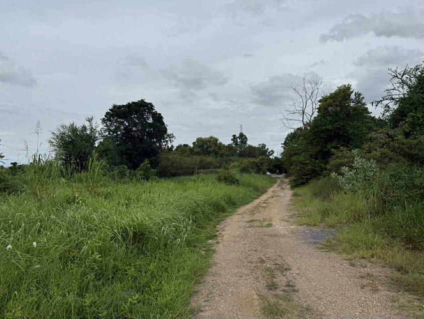 ที่ดิน จังหวัดสระบุรี