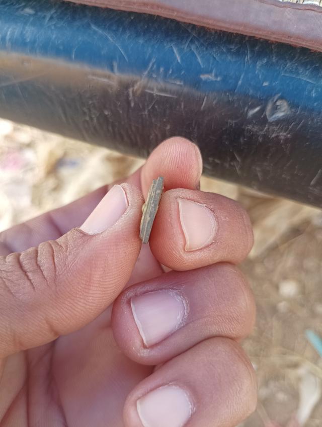 พระปรกโพธิ์ มหาเม่า วัดแหลมยาง จ.พจิตร รูปที่ 3