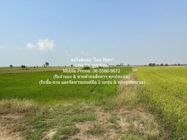 DSL-1030 ขาย ที่ดิน //ต่ำกว่าราคาประเมิน//ขายที่ดินทุ่งนาข้าว อ.นครหลวง จ.พระนครศรีอยุธยา 17-0-76 ไร่ 17 ไร่ 6876 ตร.วา 8