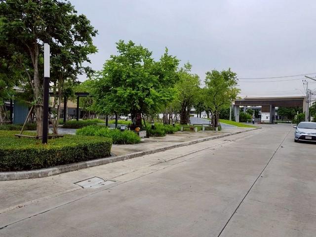 ให้เช่าทาวน์เฮ้าส์ คอนเนค พัฒนาการ38 มีเฟอร์ครบตามภาพ 7