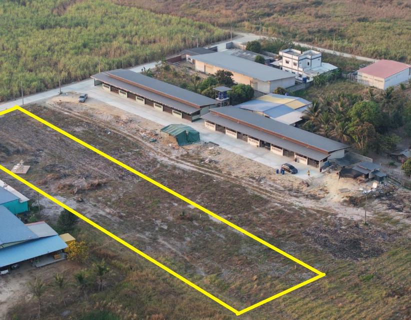 ขายที่ดินคลองกิ่ว 2 ไร่ ถมแล้วซอยเทศบาล9 ใกล้ตลาดหัวกุญแจ-2กม. อ.บ้านบึง ชลบุรี