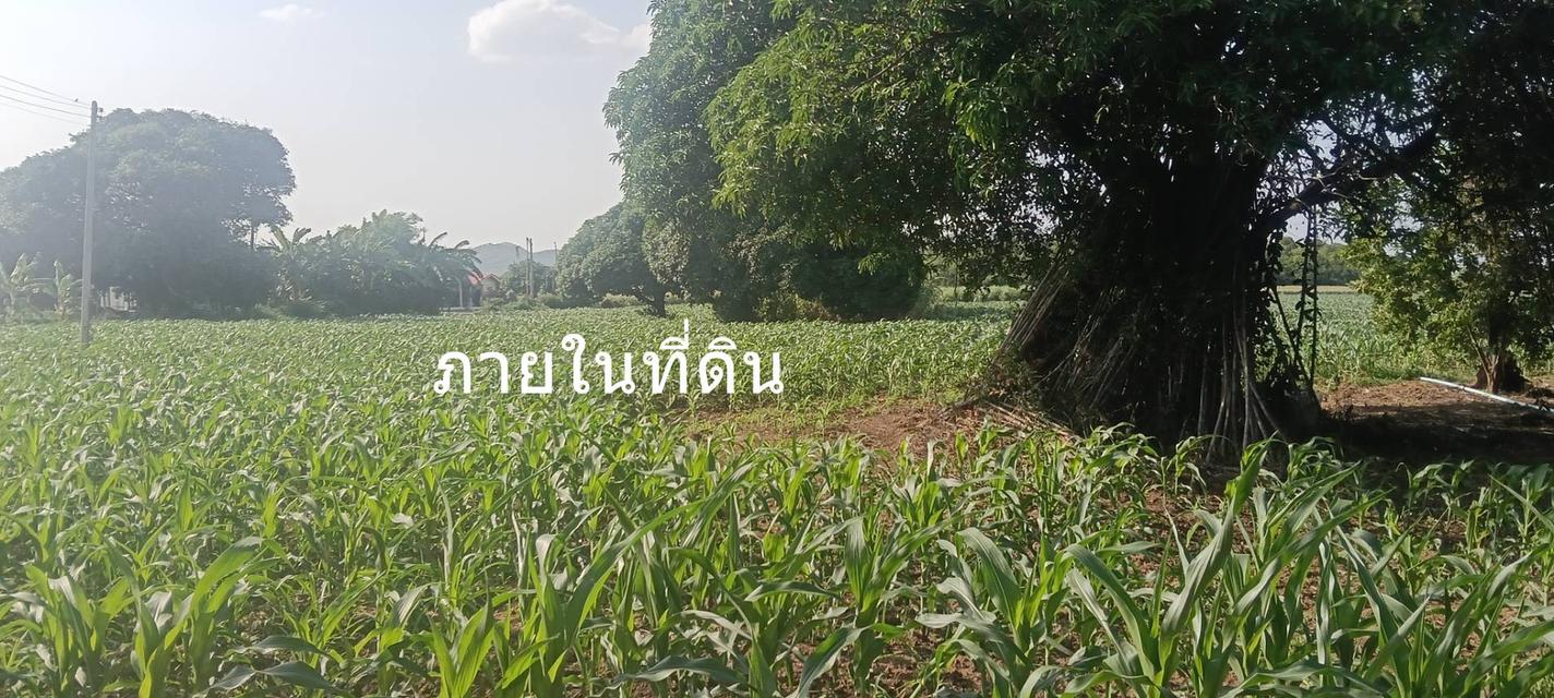 ขายที่ดิน 8 ไร่ อ.พระพุทธบาท สระบุรี ไร่ละ 3 แสน 13