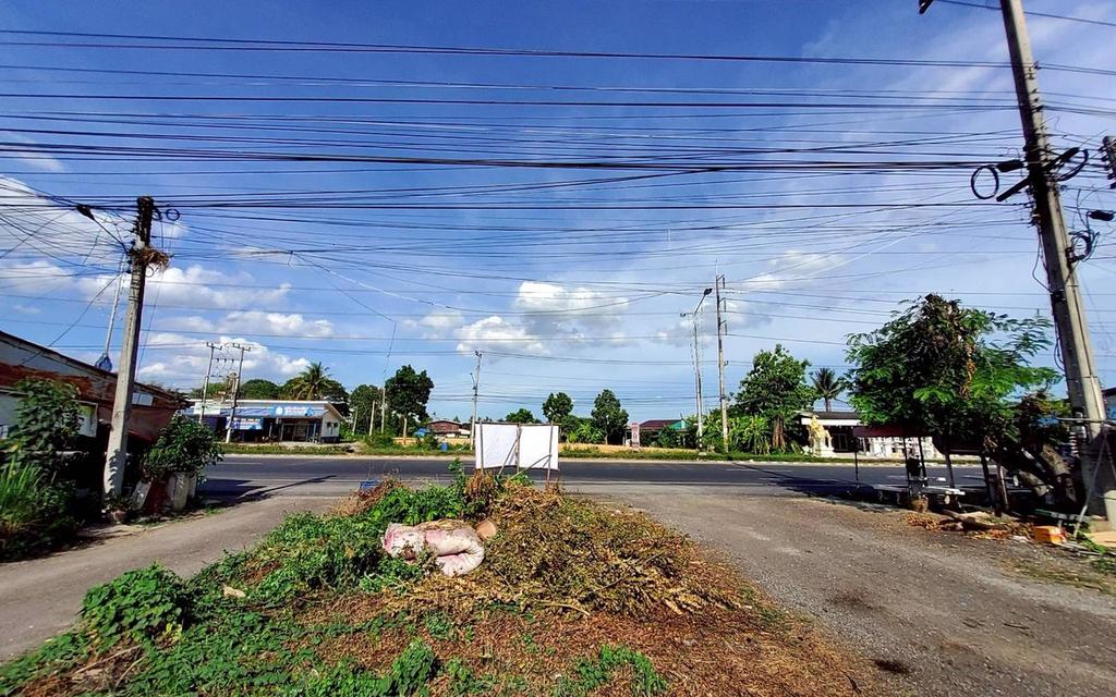 ขายด่วนที่ดิน 165-1-69 ไร่ ติดถนนสาธารณะ ถนนเพชรเกษมสายเก่า บ้านโป่ง ราชบุรี 1