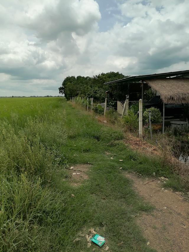 ที่ดินสวยบรรยากาศ​ดีใกล้กรุงเทพ​ เดินทางสะดวก​ 3
