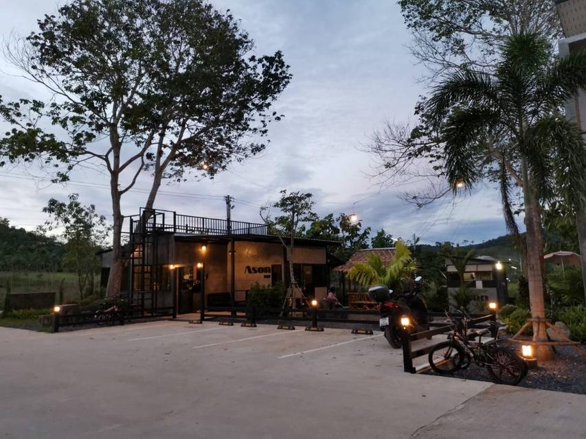 ขายกิจการรีสอร์ท Asonhouse area51 และห้องพักรายเดือน พื้นที่ 2 ไร่ ใกล้ธรรมชาติเงียบสงบ ม.3 ต.เทพกระษัตรี ภูเก็ต 12