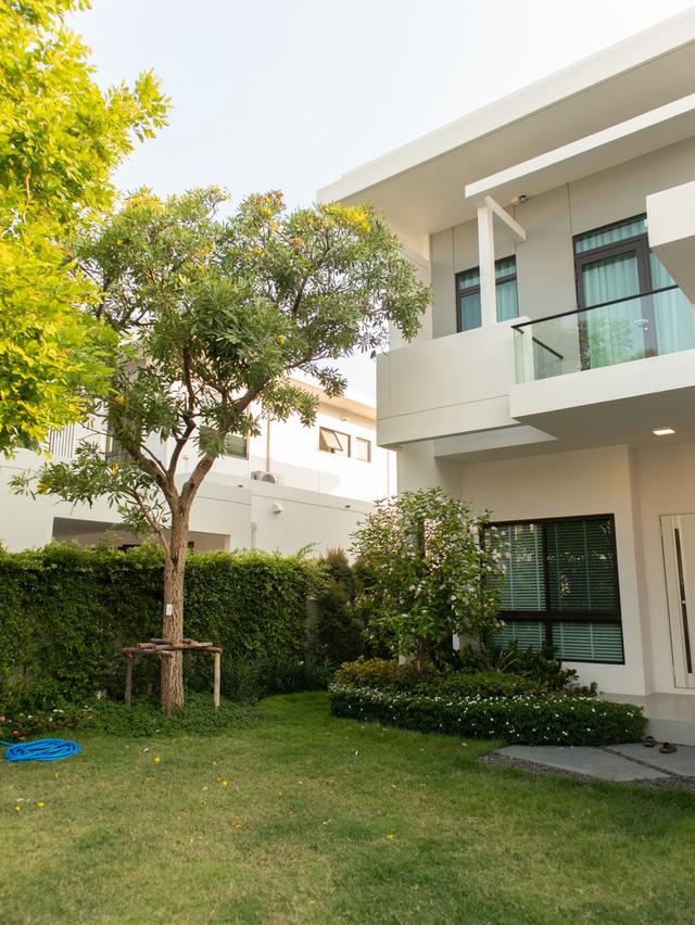 ให้เช่าบ้านใหม่หรู บ้านเดี่ยว 2 ชั้น  สไตล์ Modern Luxury  Mantana Bangna Km.15 3