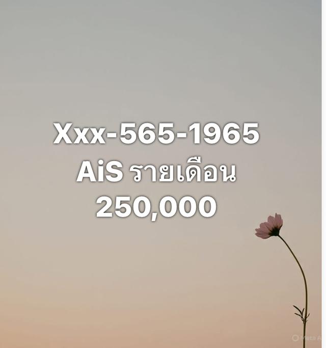 Xxx-565-1965ขายเบอร์มงคลโภคทรัพย์