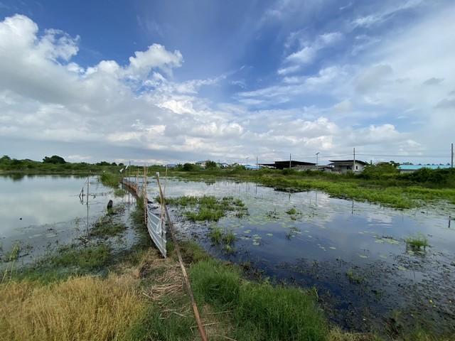 ขายที่ดินเปล่า ทำเลดี เจ้าของขายเอง ตำบลคลองด่าน อำเภอบางบ่อ สมุทรปราการ 10