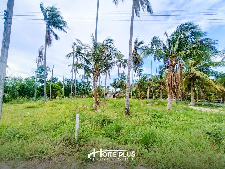 🌳 ขายที่ดินแปลงใหญ่ 14 ไร่ 24 ตร.ว. ใกล้สถานีรถไฟห้วยยาง ทับสะแก 10