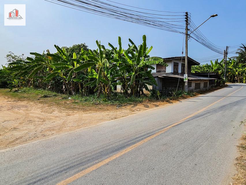 ขาย ที่ดิน ใกล้ถนนบรมราชชนนีเพียง 2 กม. ใกล้วัดดอนหวาย นครปฐม ต.ทรงคนอง อ.สามพราน 2 ไร่ 97 ตรว
