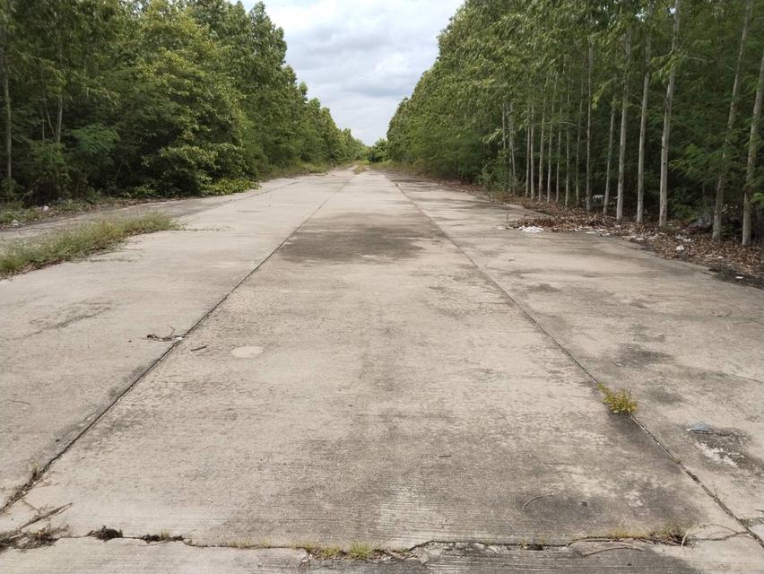 land for sales on taparak road km.18 soi bangpra65 bangpee samutapakarn near interairport 2