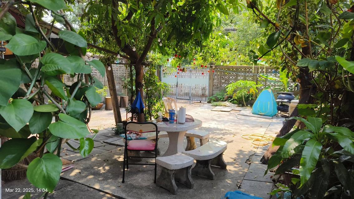 บ้านเดี่ยวถนนลาดพร้าว ใกล้รถไฟฟ้าสายสีเหลือง 12