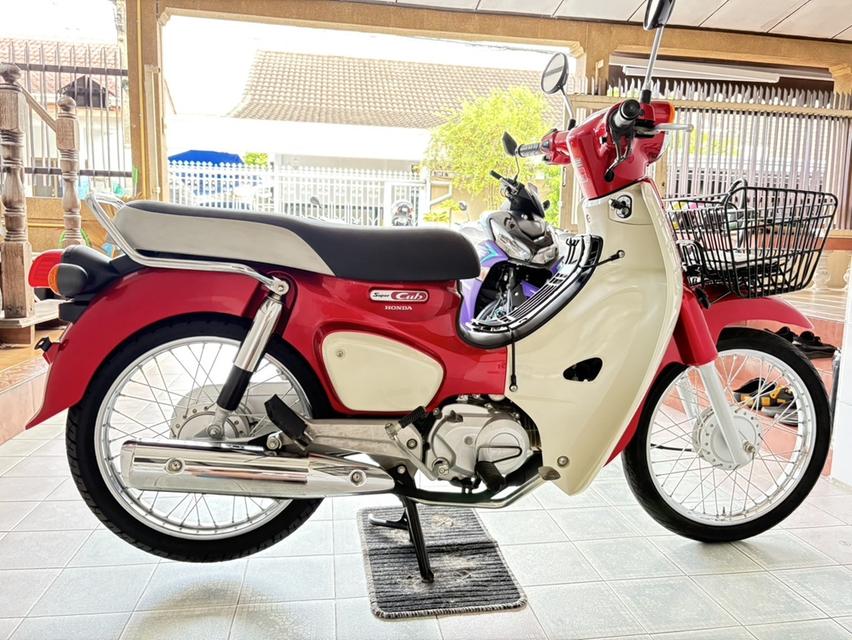 Super Cub รถบ้านแท้ มือเดียว เอกสารครบ ไม่ล้ม ไม่ชน ไม่จมน้ำ สภาพซื้อจอด มีรับประกัน มีเก็บปลายทาง วิ่ง5000 ปี66 6