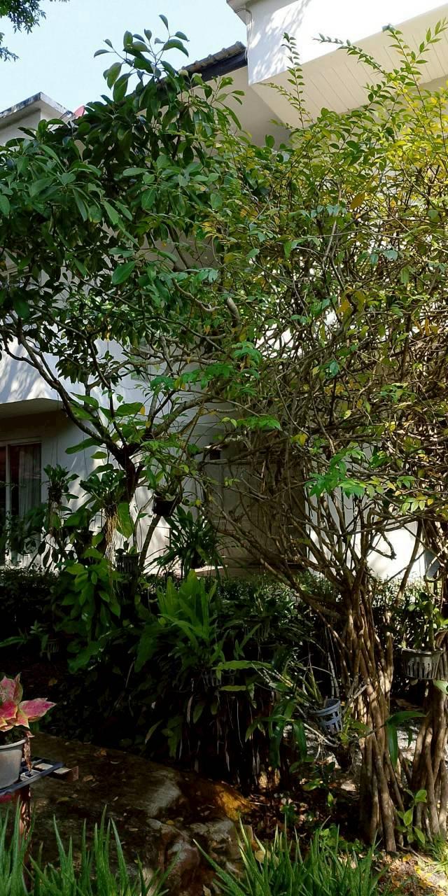 ที่ดินและสิ่งปลูกสร้างในที่ดิน 5