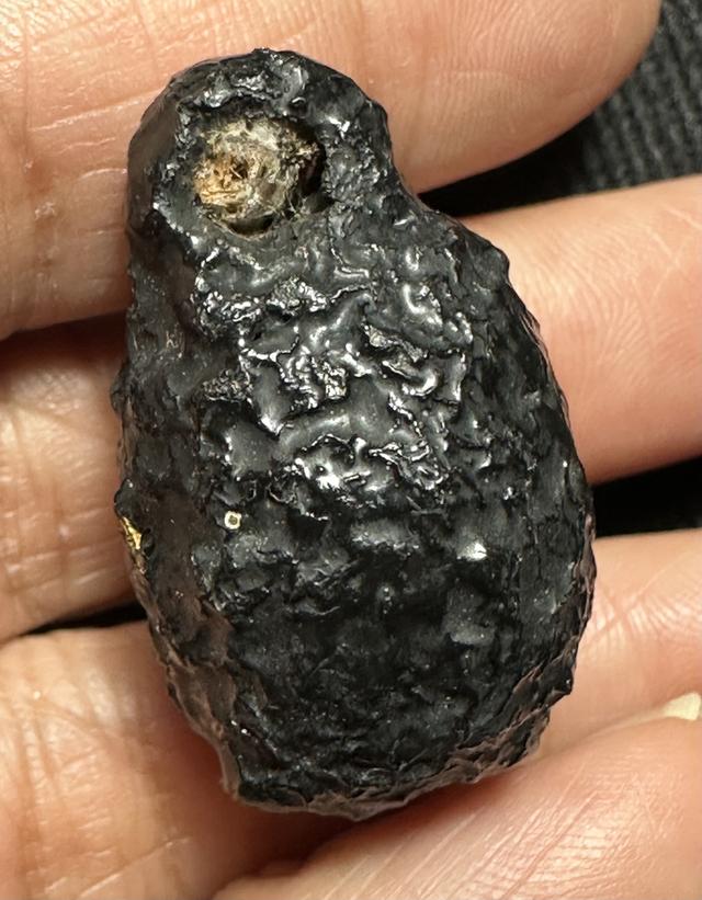 หมากทุยล.ป.เอี่ยม เก่า ลงรักเดิม รูปที่ 3