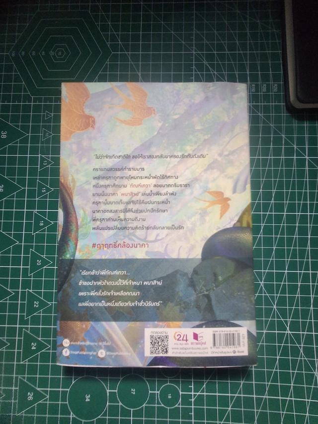 หนังสือนิยายวาย เรื่อง ฤาฤทธิ์คล้องนาคา (มือสองมีรอยชำรุด4จุด) รูปที่ 7