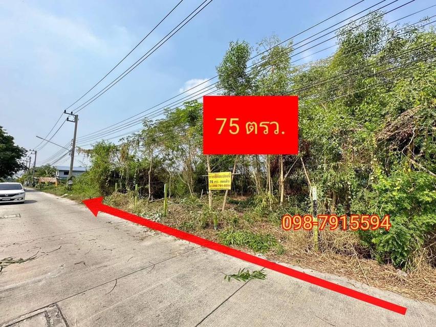 ขายด่วนที่ดินถมแล้ว 75 ตรว.ซอยบงกช 43ถนนเลียบคลอง 2 ต.คลองหลวง จ.ปทุมธานี 2