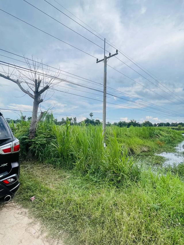 ขายที่ดินติดถนน 1 ไร่ 3 งาน 65 ตารางวา จังหวัดศรีสะเกษ 2