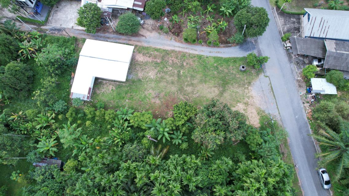 ขายบ้านพร้อมที่ดิน 200 ตารางวา ต.เขาพระ ติดถนนหลัก วิวเขาชัด เหมาะดัดแปลงทำพูลวิลล่า 5