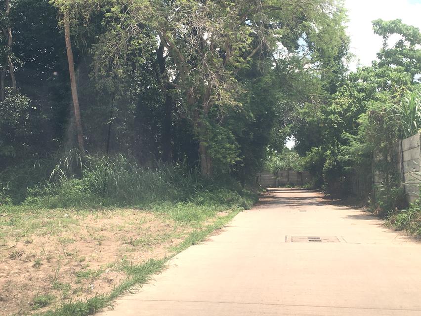 ขายที่ดินหนองขาม ศรีราชา ชลบุรี เนื้อที่ 9-1-84ไร่ หน้ากว้าง 90เมตร ลึก 180เมตร ที่ดินพื้นที่สีเหลืองอ่อน ผังเมือง EEC ใกล้นิคมปิ่นทอง3