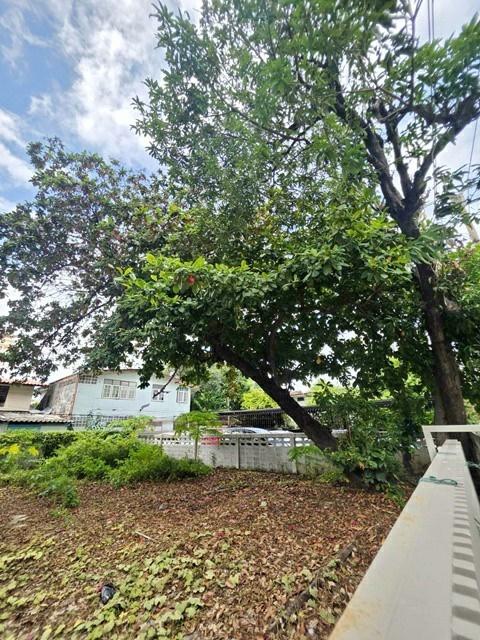 BTS เซนต์หลุยส์ 900 ม.ซ.นราธิวาส 7-14 ย่านสาทร รร.อัสสัมชัญ 600 ม. โรงแรมเจซี เควิน สาทร กรุงเทพฯ 265ม. ให้เช่าที่ดินถมแ 8