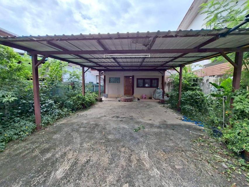 ขายบ้านเดี่ยวชั้นเดียว ซอยลาดพร้าว101 แยก42 ชุมชนหมู่บ้านเทพทวีซอย3 แยก15 4