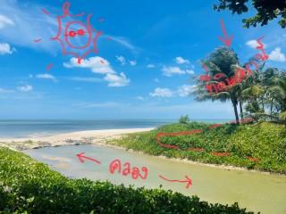 ที่ติดทะเล1 ไร่ 3 ล้านหาไม่ได้แล้วจ้า 3