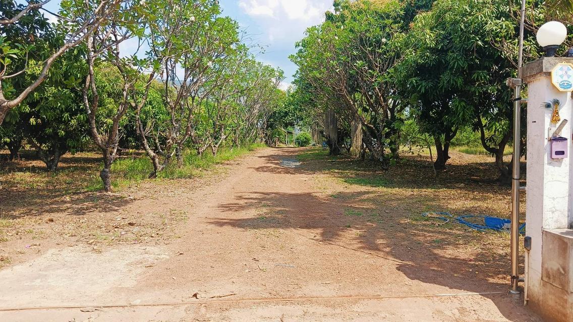 ขายที่ดินจังหวัด พิษณุโลกพร้อมสวน วิวเขา จำนวน 80 ไร่! ใกล้แหล่งท่องเที่ยว  12