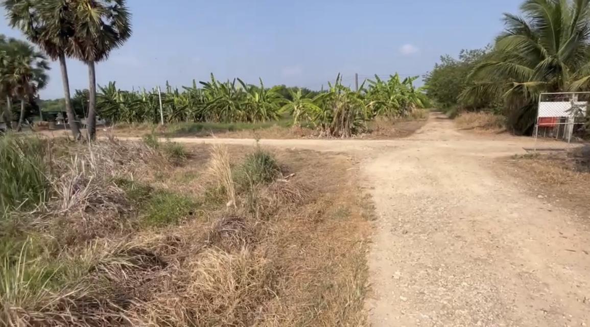 ขายที่ดิน วิหารแดง สระบุรี 5