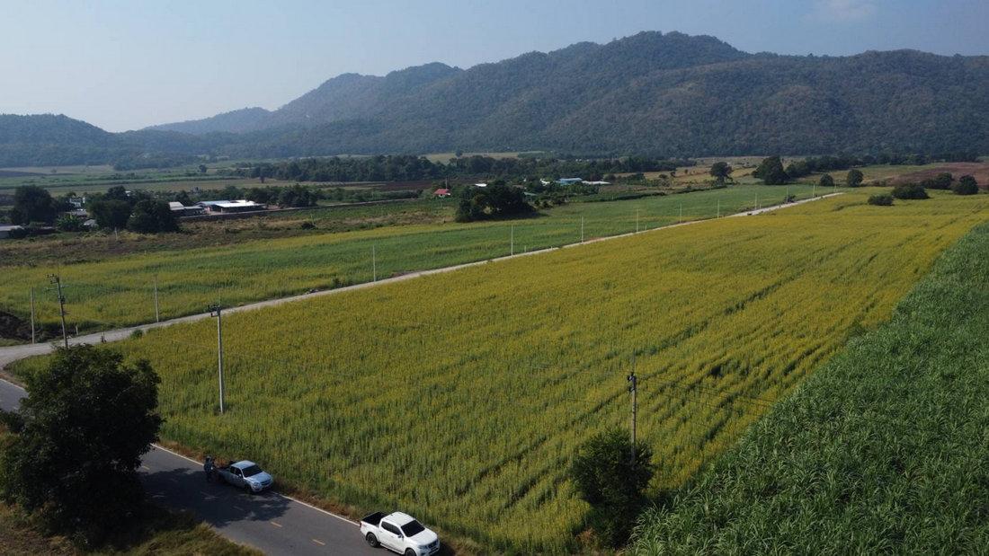 ขายที่ดินแก่งคอย สระบุรี วิวเขา โฉนดครุฑแดงพร้อมโอน ถนนโครงการกว้าง 8 เมตร ใกล้เขื่อนป่าสักชลสิทธิ์ 5